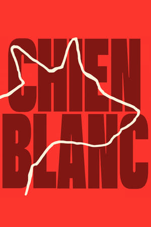 Chú Chó TrắngHình bìa