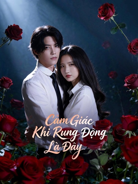 Cảm Giác Khi Rung Động Là ĐâyHình bìa