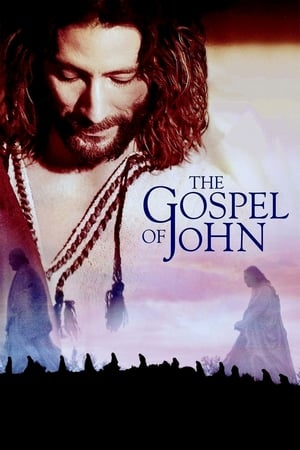 The Gospel of JohnHình bìa