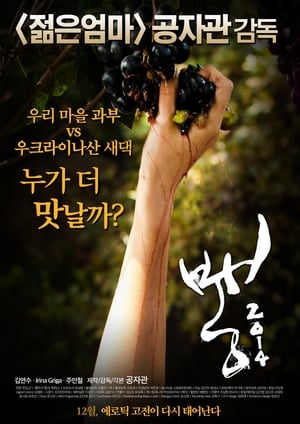 Cuộc Thi Đấu Giữa 2 Nàng DâuHình bìa
