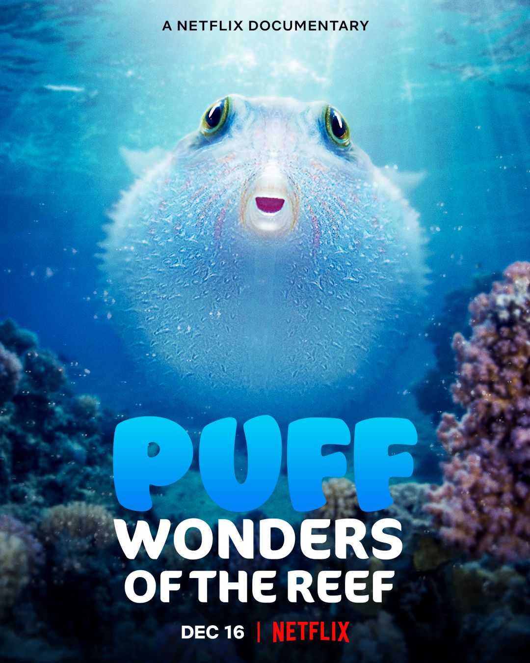 Puff: Rạn San Hô Kỳ DiệuHình bìa