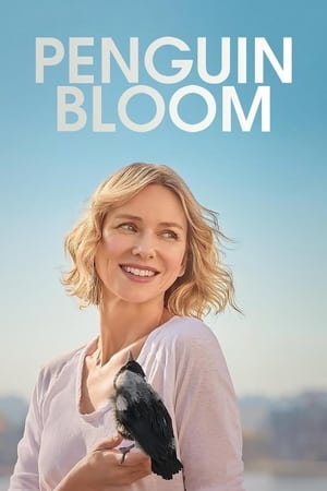 Cánh Cụt Nhà BloomHình bìa