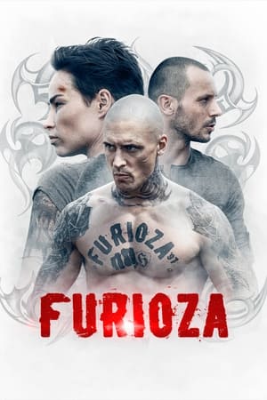 FuriozaHình bìa