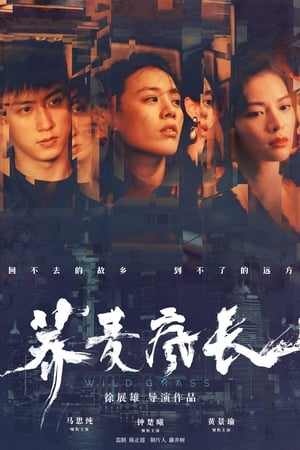 Mùa Hoa Kiều MạchHình bìa