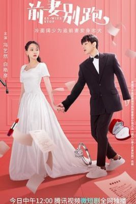 Cua Lại Vợ Cũ Phần 2Hình bìa