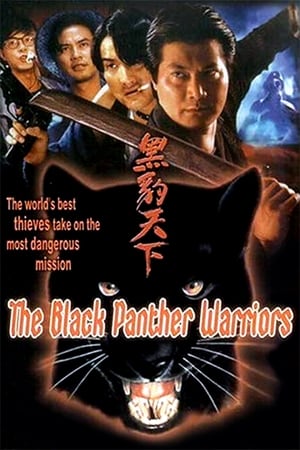 Hắc Báo Thiên HạHình bìa