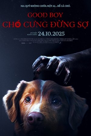 Chó Cưng Đừng SợHình bìa