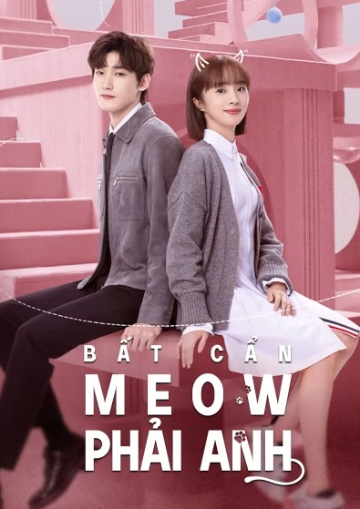 Bất Cẩn Meow Phải AnhHình bìa