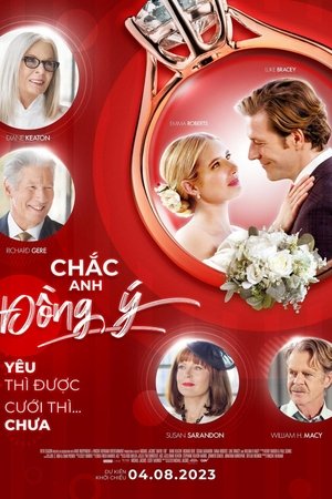 Chắc Anh Đồng ÝHình bìa