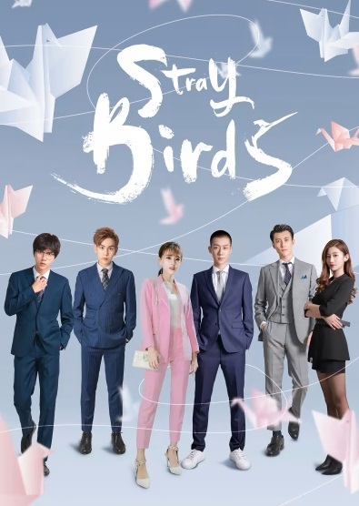 Bầy Chim LạcHình bìa