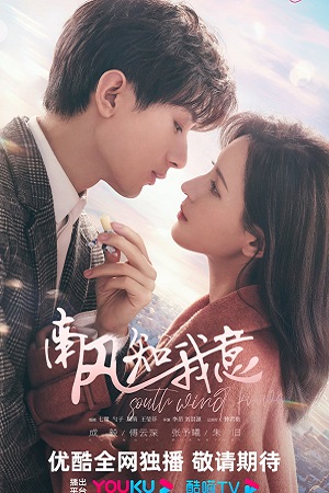Gió Nam Hiểu Lòng TôiHình bìa