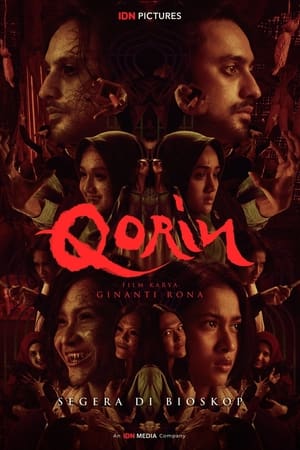 Triệu Hồi QorinHình bìa