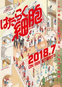 Hataraku SaibouHình bìa