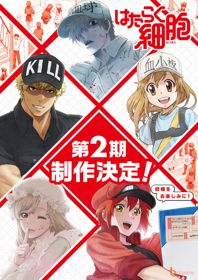 Hataraku Saibou!!Hình bìa