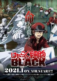 Hataraku Saibou BlackHình bìa