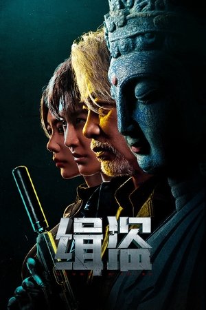 Truy Bắt Đạo TặcHình bìa