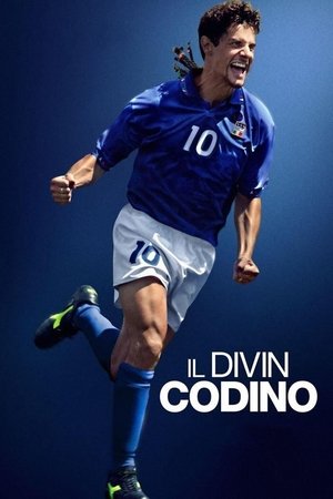 Roberto Baggio: Đuôi ngựa thần thánhHình bìa