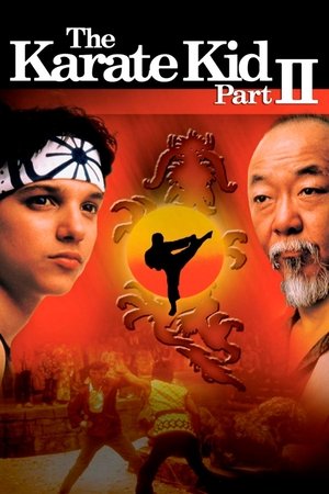 Cậu bé Karate 2Hình bìa