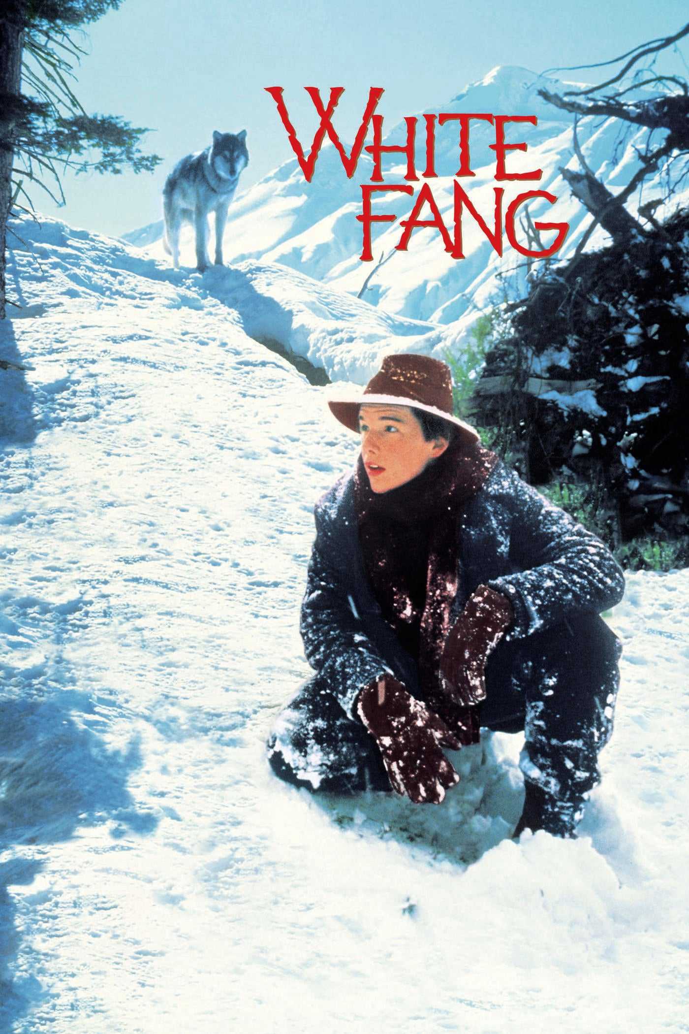 White FangHình bìa