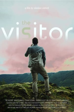 The VisitorHình bìa