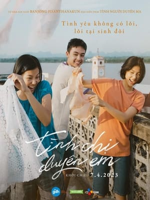 Tình Chị Duyên EmHình bìa