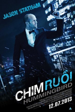 Chim RuồiHình bìa