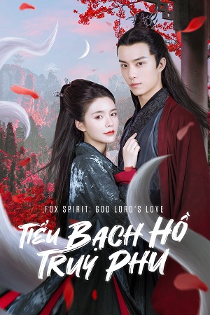 Tiểu Bạch Hồ Truy PhuHình bìa