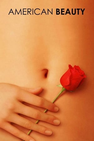 Vẻ Đẹp MỹHình bìa