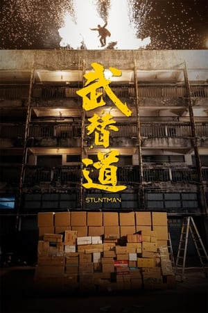 Kẻ Đóng ThếHình bìa