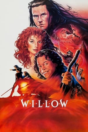 Phù Thuỷ WillowHình bìa