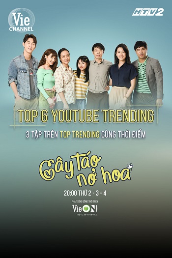 Cây Táo Nở HoaHình bìa