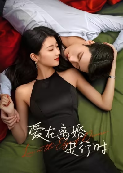 Yêu Khi Sắp Ly HônHình bìa