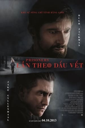 Lần Theo Dấu VếtHình bìa