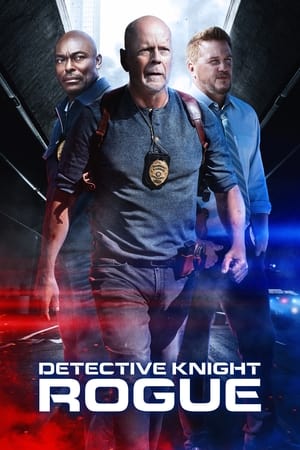 Thám Tử Knight: RogueHình bìa
