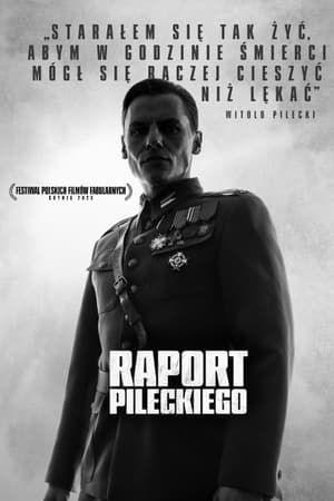 Báo Cáo Của PileckiHình bìa
