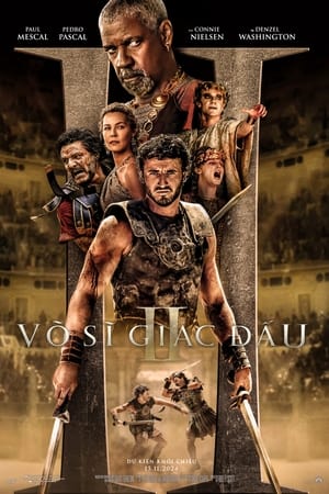Võ Sĩ Giác Đấu 2Hình bìa