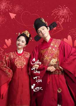 Cẩm Tâm Tựa NgọcHình bìa