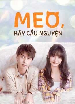Meo, Hãy Cầu NguyệnHình bìa