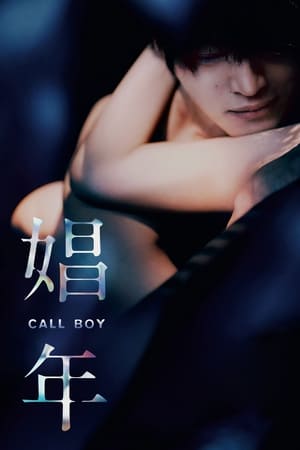 Trai BaoHình bìa