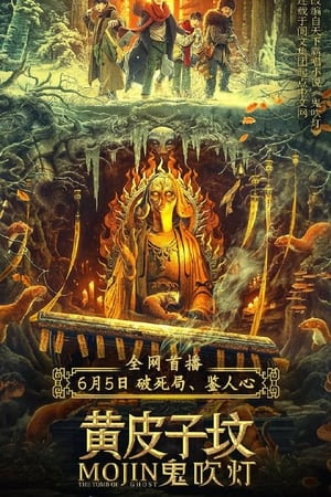 Mộ Hoàng Bì TửHình bìa
