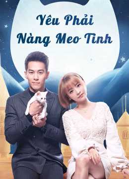 Yêu Phải Nàng Meo TinhHình bìa