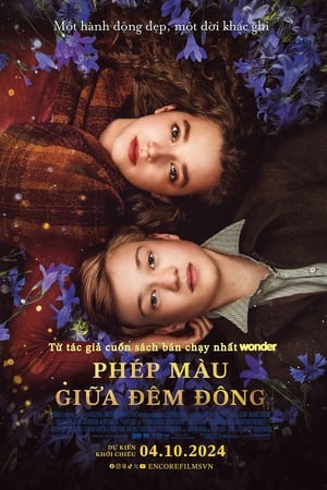 Phép Màu Giữa Đêm ĐôngHình bìa