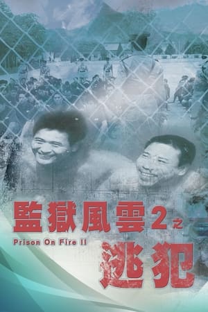 Ngục Tù Phong Vân 2Hình bìa