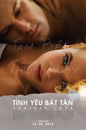 Tình Yêu Bất TậnHình bìa