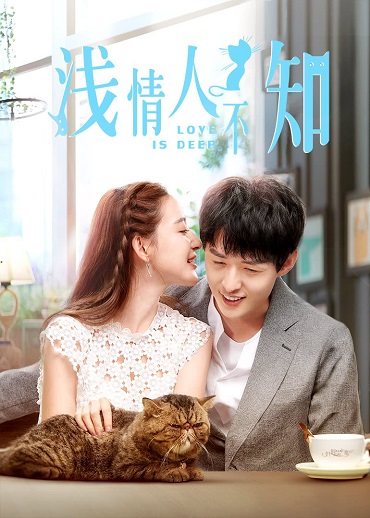Tình Cạn Người Không BiếtHình bìa