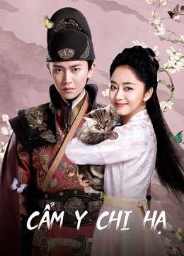 Cẩm Y Chi HạHình bìa