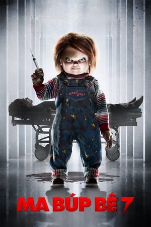 Ma Búp Bê 7: Sự Tôn Sùng Của ChuckyHình bìa