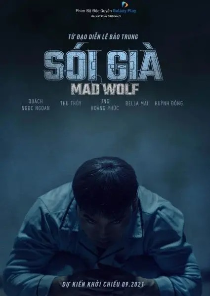 Sói GiàHình bìa