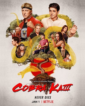 Võ Đường Cobra Kai (Phần 3)Hình bìa