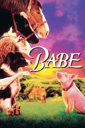 Babe: Chú Heo Chăn CừuHình bìa